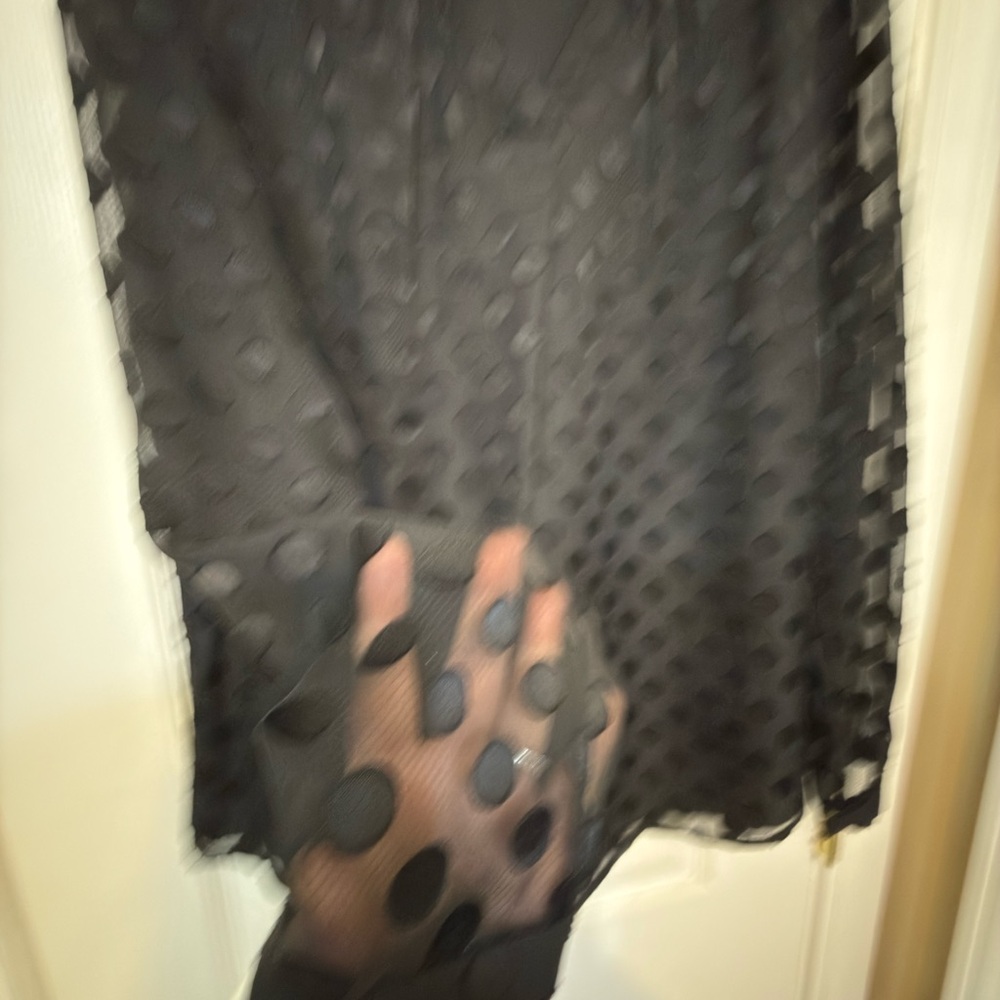 Talbots M Petite Women’s Sheer Polka Dot Black Blouse - Picture 4 of 7